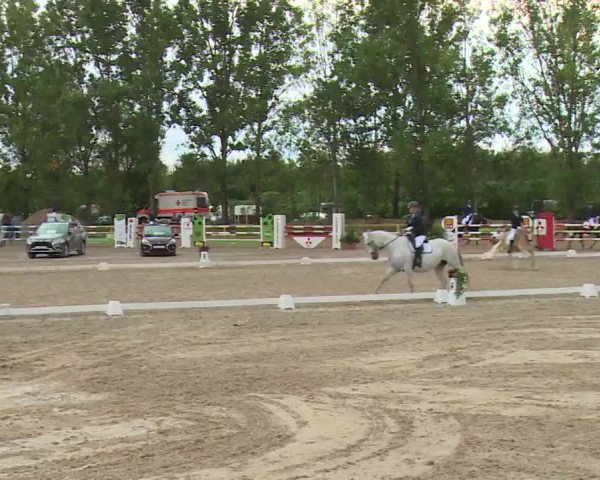 Reitturnier Kleinostheim/Ufr. 2020
