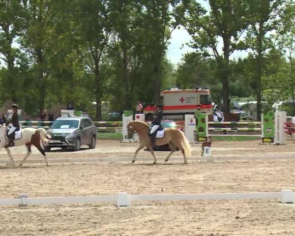 Reitturnier Kleinostheim/Ufr. 2020