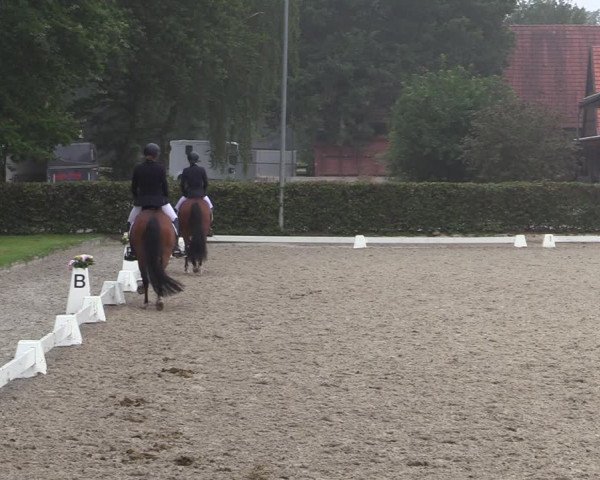 Reitturnier Greven 2020