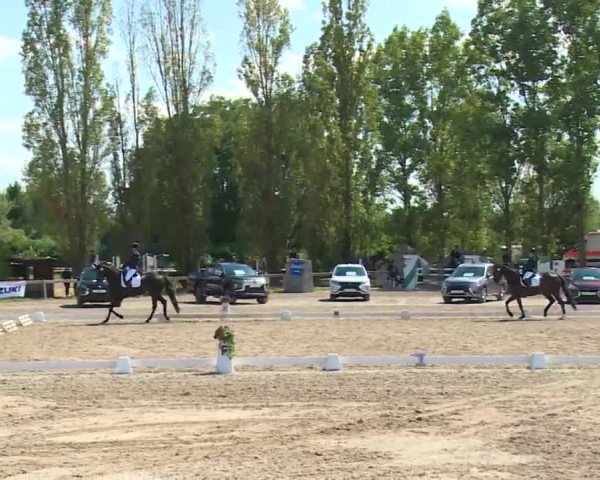 Reitturnier Kleinostheim/Ufr. 2020