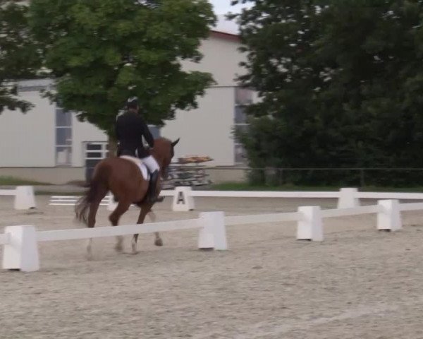 Reitturnier Rot am See- Musdorf 2020