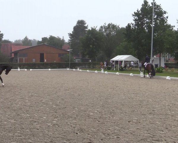 Reitturnier Greven 2020