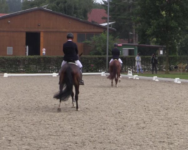 Reitturnier Greven 2020