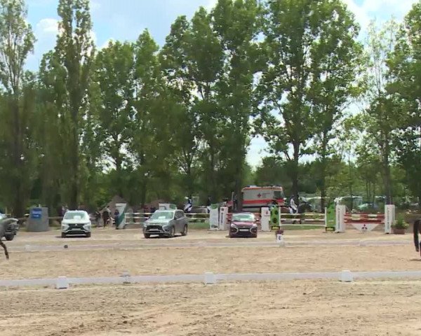 Reitturnier Kleinostheim/Ufr. 2020