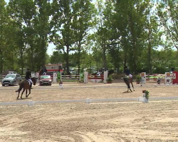 Reitturnier Kleinostheim/Ufr. 2020