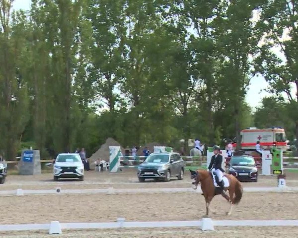 Reitturnier Kleinostheim/Ufr. 2020