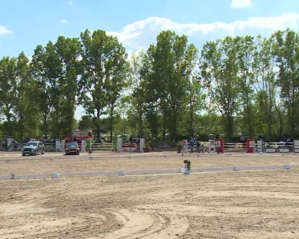 Reitturnier Kleinostheim/Ufr. 2020