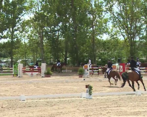 Reitturnier Kleinostheim/Ufr. 2020