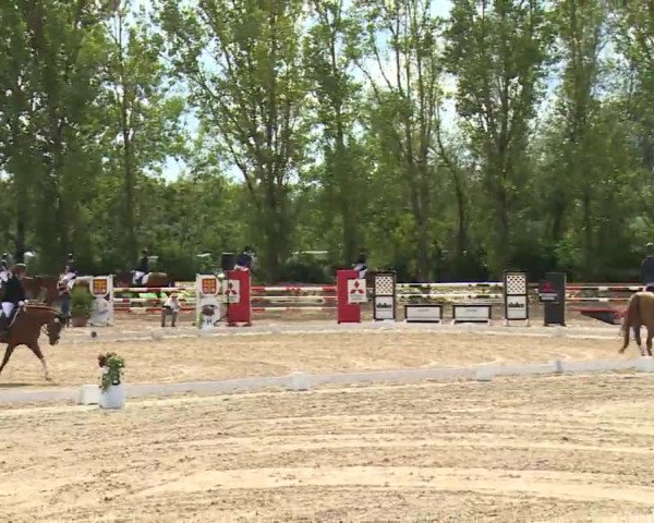 Reitturnier Kleinostheim/Ufr. 2020