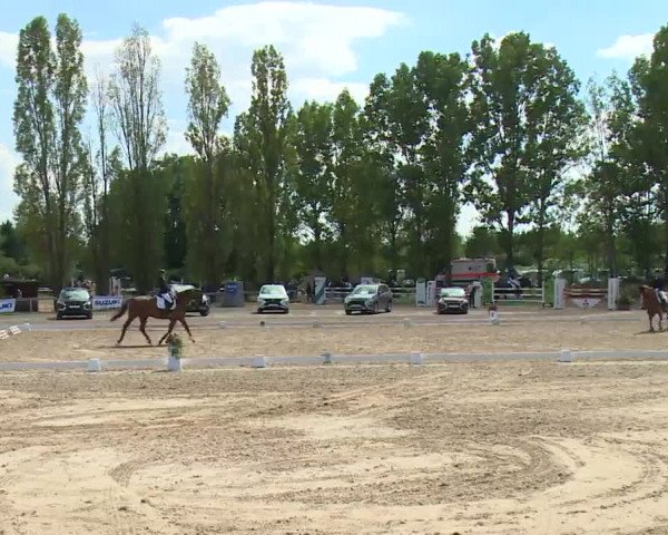 Reitturnier Kleinostheim/Ufr. 2020