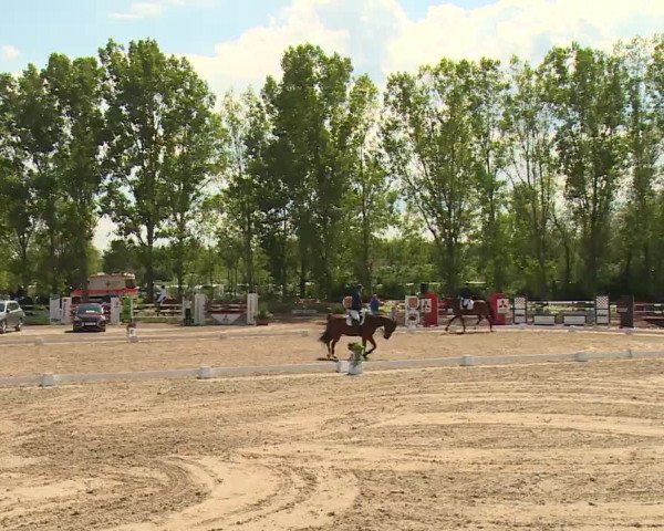Reitturnier Kleinostheim/Ufr. 2020