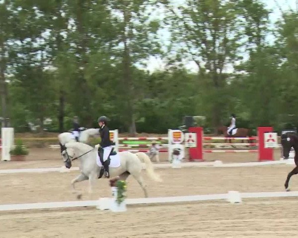 Reitturnier Kleinostheim/Ufr. 2020