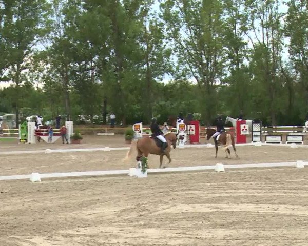 Reitturnier Kleinostheim/Ufr. 2020