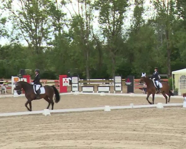 Reitturnier Kleinostheim/Ufr. 2020