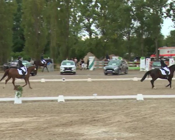 Reitturnier Kleinostheim/Ufr. 2020