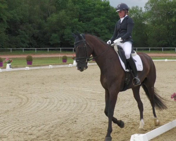 Reitturnier Heiligenwald 2020