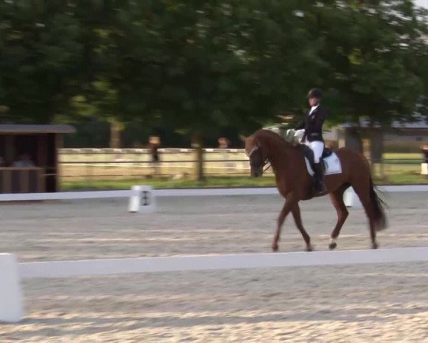 Reitturnier Rot am See- Musdorf 2020
