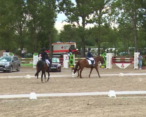Reitturnier Kleinostheim/Ufr. 2020