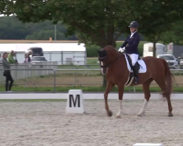 Reitturnier Rot am See- Musdorf 2020