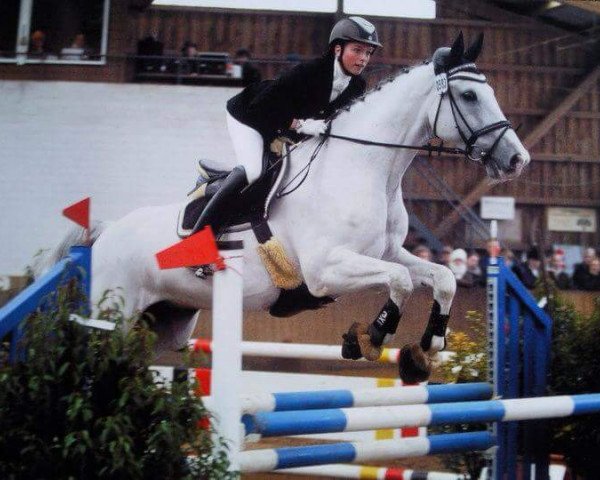 jumper Rio Blanco (Holsteiner, 1995, from Riverman)