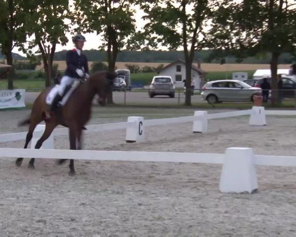 Reitturnier Rot am See- Musdorf 2020