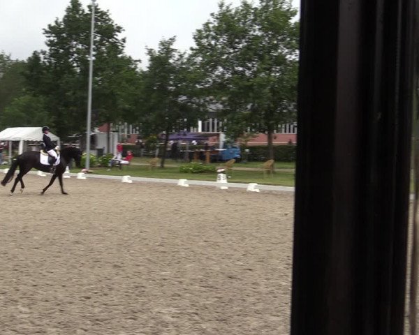 Reitturnier Greven 2020