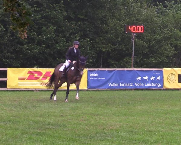 Reitturnier Greven 2020