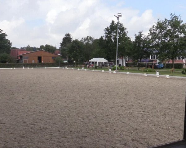 Reitturnier Greven 2020
