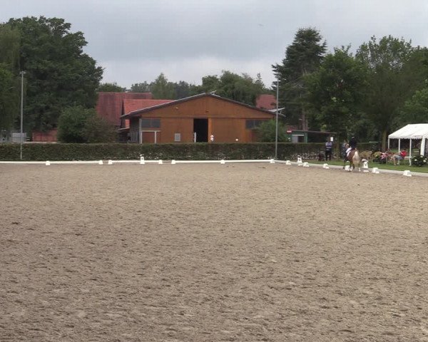 Reitturnier Greven 2020