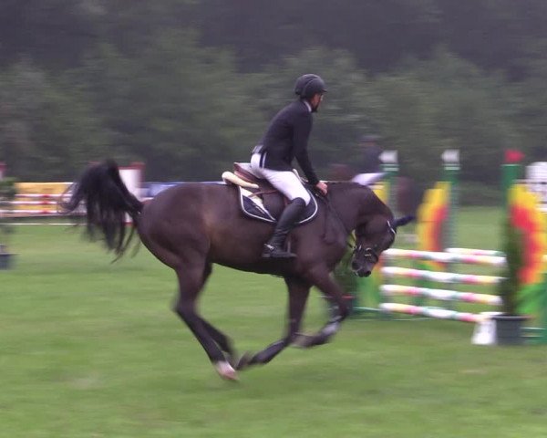 Reitturnier Greven 2020
