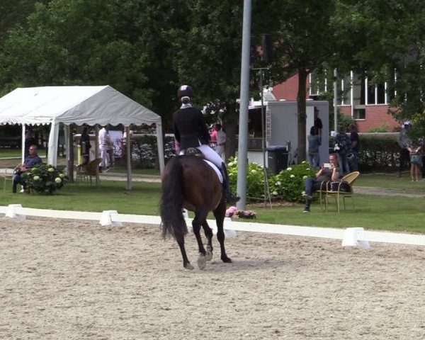 Reitturnier Greven 2020