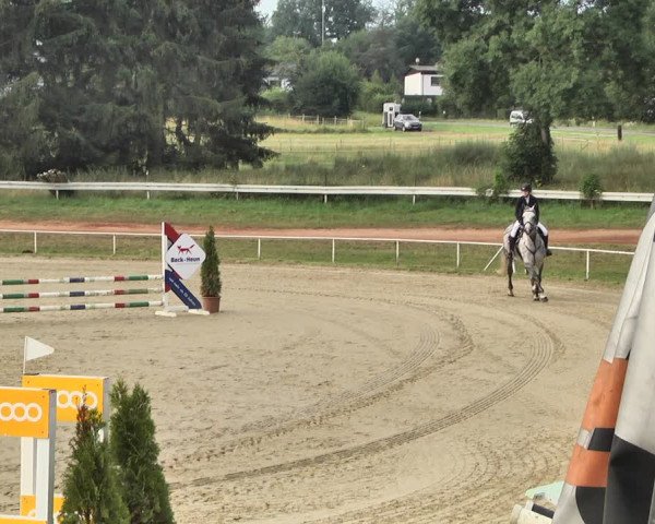 Reitturnier Heiligenwald 2020