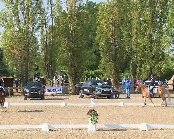 Reitturnier Kleinostheim/Ufr. 2020