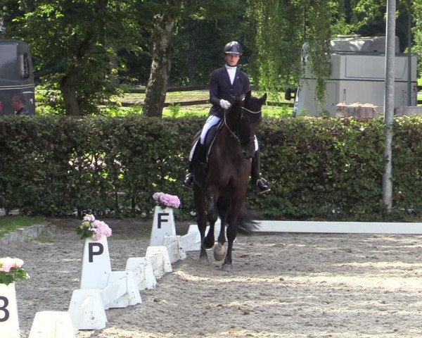 Reitturnier Greven 2020