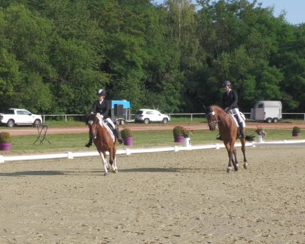 Reitturnier Heiligenwald 2020