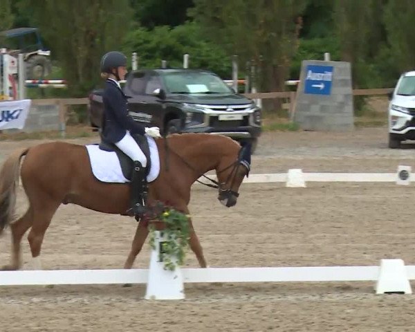Reitturnier Kleinostheim/Ufr. 2020