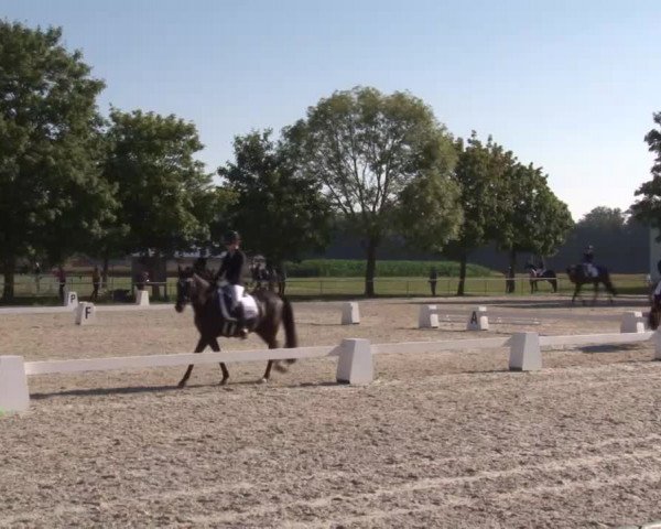 Reitturnier Rot am See- Musdorf 2020