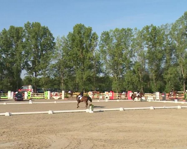 Reitturnier Kleinostheim/Ufr. 2020