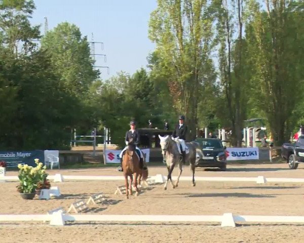 Reitturnier Kleinostheim/Ufr. 2020