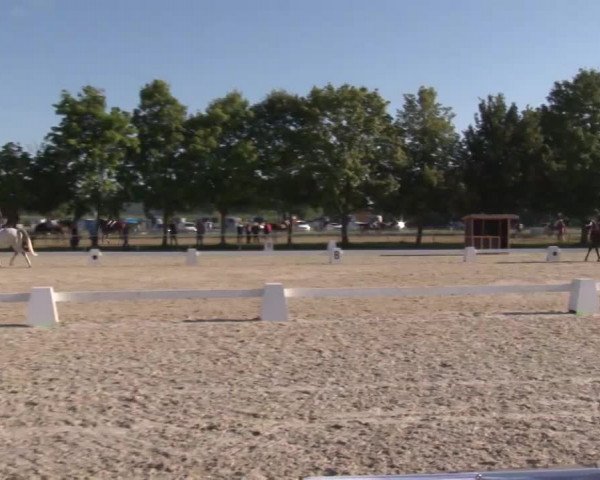 Reitturnier Rot am See- Musdorf 2020