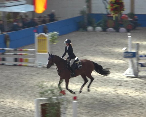 Reitturnier Sögel 2021
