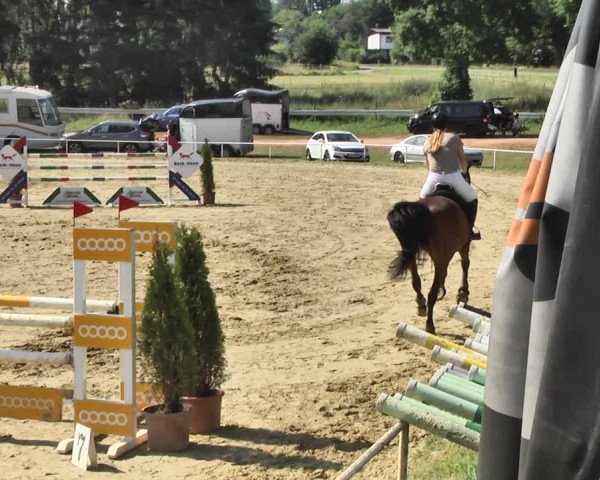 Reitturnier Heiligenwald 2020