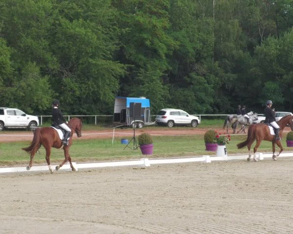 Reitturnier Heiligenwald 2020