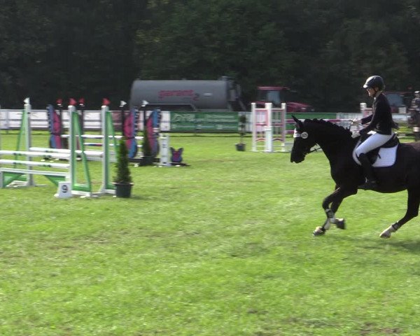 Reitturnier Greven 2020