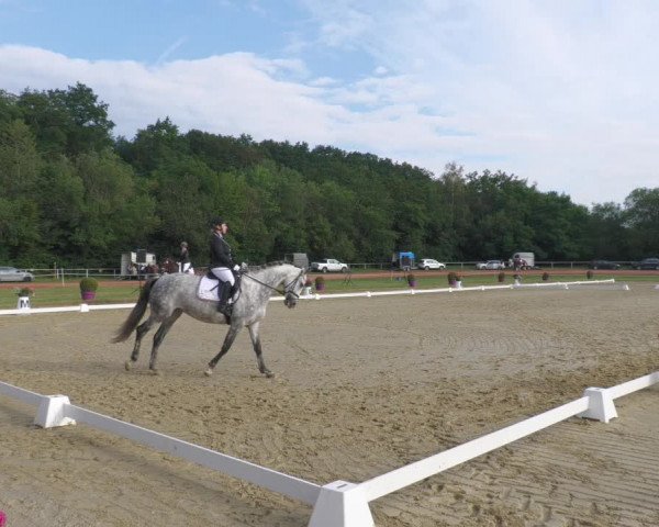 Reitturnier Heiligenwald 2020