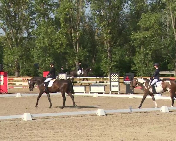 Reitturnier Kleinostheim/Ufr. 2020
