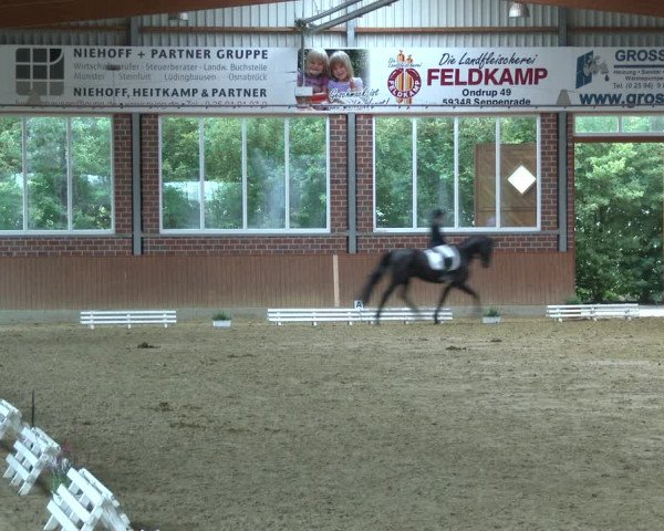 Reitturnier Seppenrade 2020