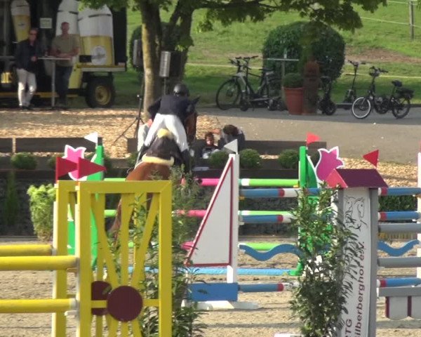 Reitturnier Wipperfürth-Kreuzberg 2020