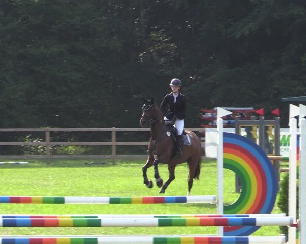 Reitturnier Greven 2020