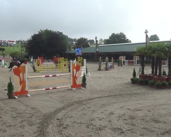 Reitturnier Wipperfürth-Kreuzberg 2020